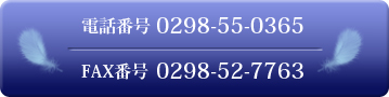 dbԍF0298-55-0365